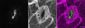 3D Montage of Composite stomata